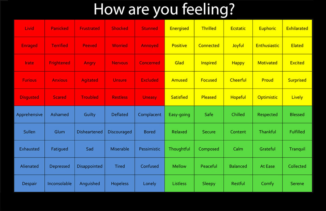 Ignite Your Leadership Potential: Emotional Literacy—Your Secret Weapon for High-Performing Teams